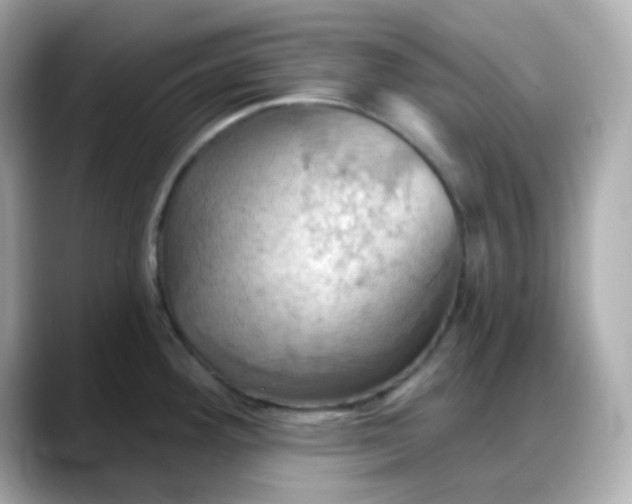 X0000088381292200706051053