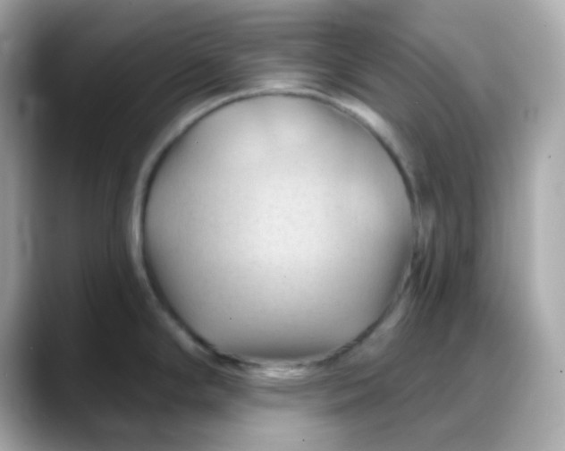 X0000088381294200706051053
