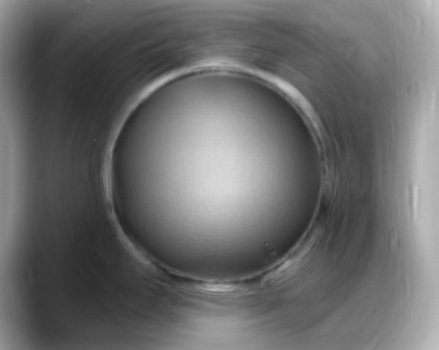 X0000088381295200706051053