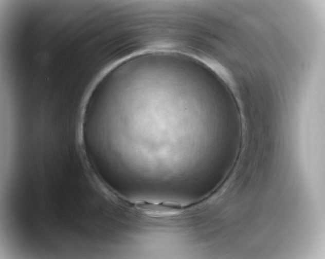 X0000088381296200706051053
