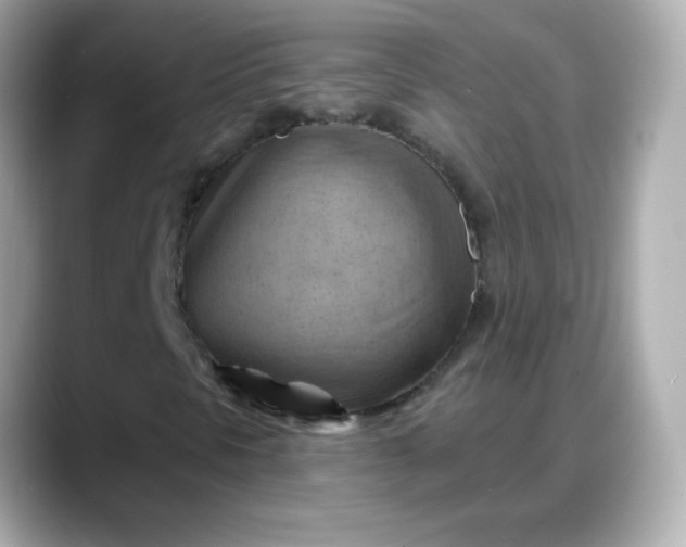 X0000088381297200706051052