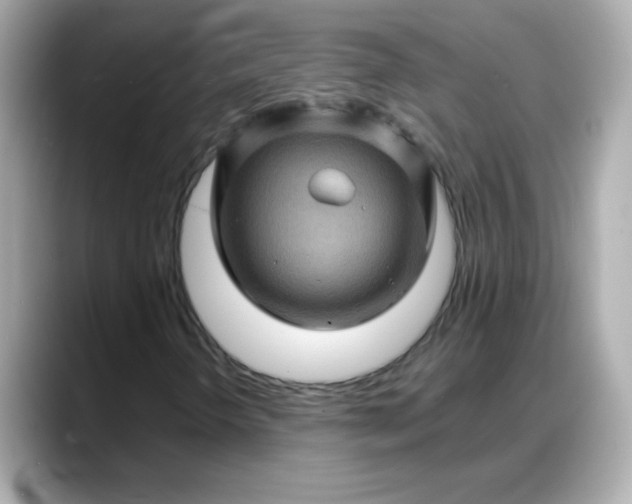 X0000088381298200706051052
