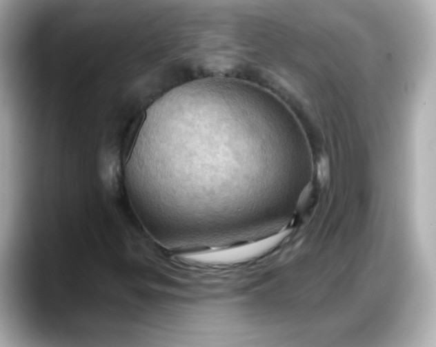 X0000088381299200706051052