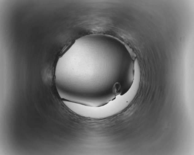X0000088381300200706051052