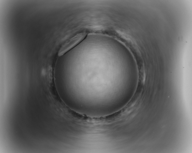 X0000088381301200706051052