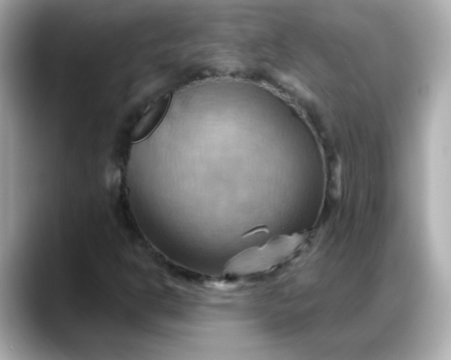 X0000088381302200706051052