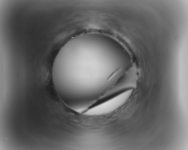 X0000088381303200706051052