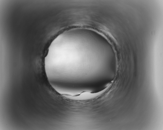 X0000088381304200706051052