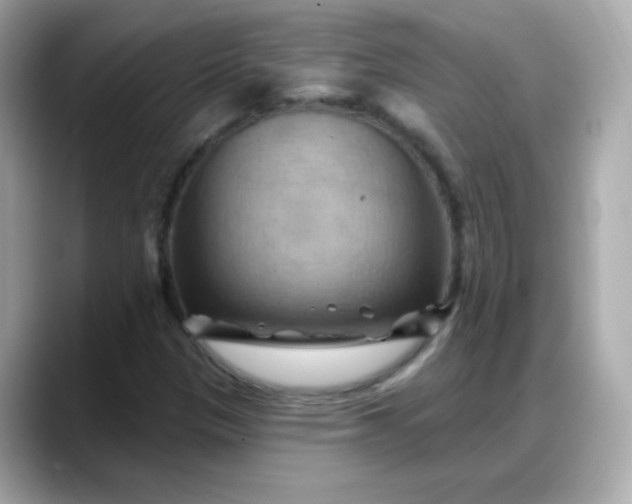 X0000088381305200706051052