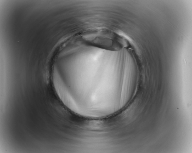 X0000088381306200706051052