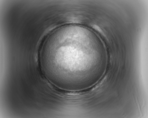 X0000088381307200706051052