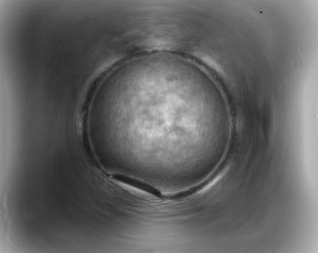 X0000088381309200706051052