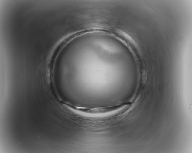 X0000088381310200706051052