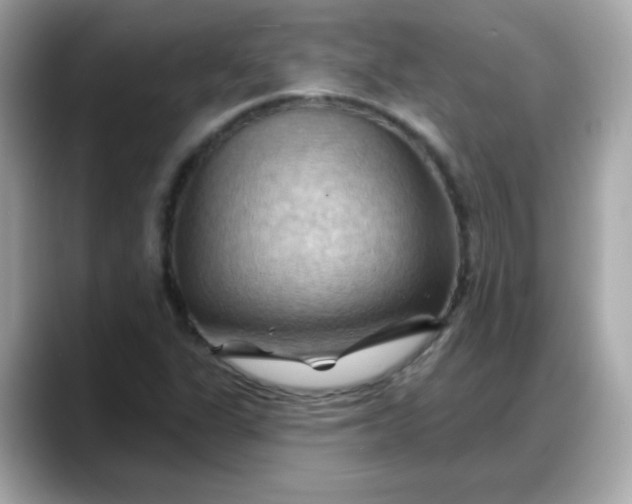 X0000088381311200706051052