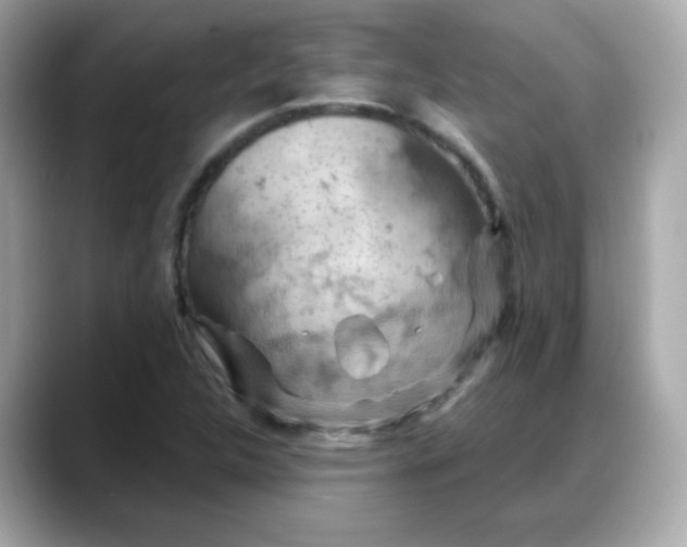 X0000088381312200706051052