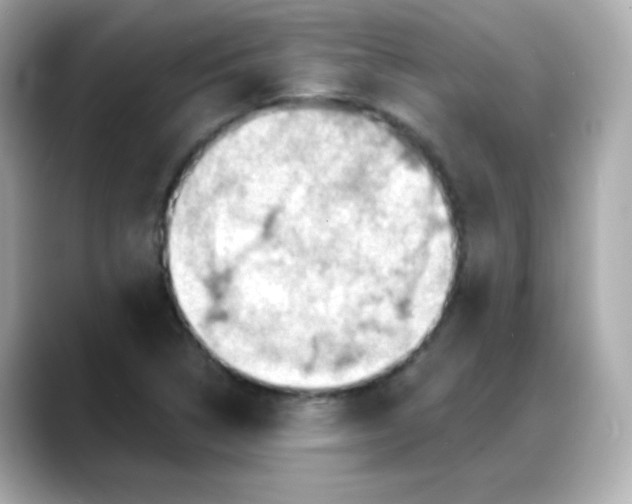 X0000088381314200706051052