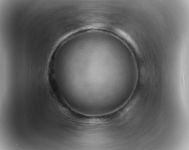 X0000088381316200706051052
