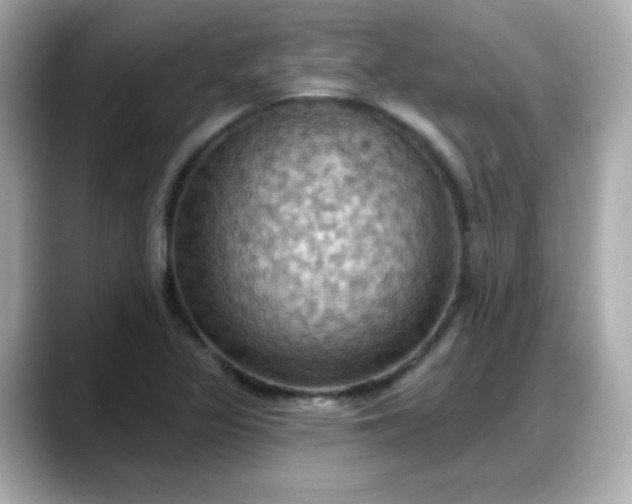 X0000088381317200706051052