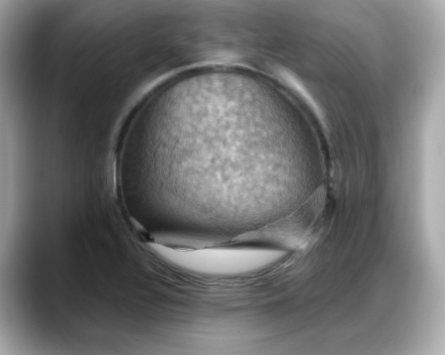 X0000088381320200706051052