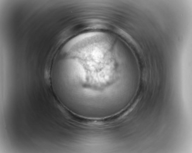 X0000088381321200706051052