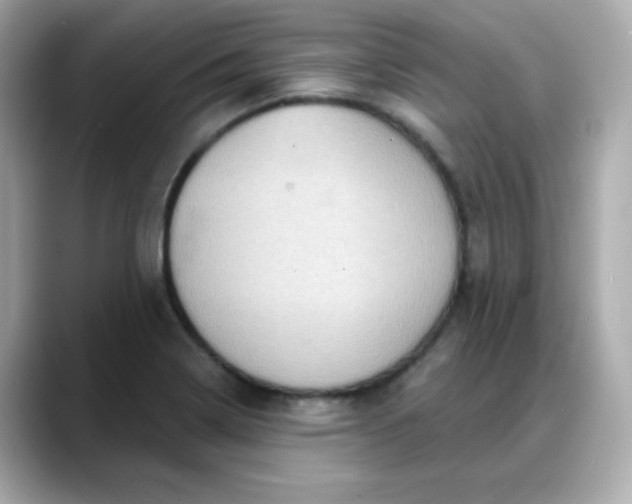 X0000088381322200706051052