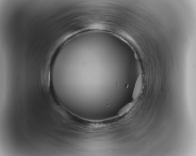 X0000088381323200706051052