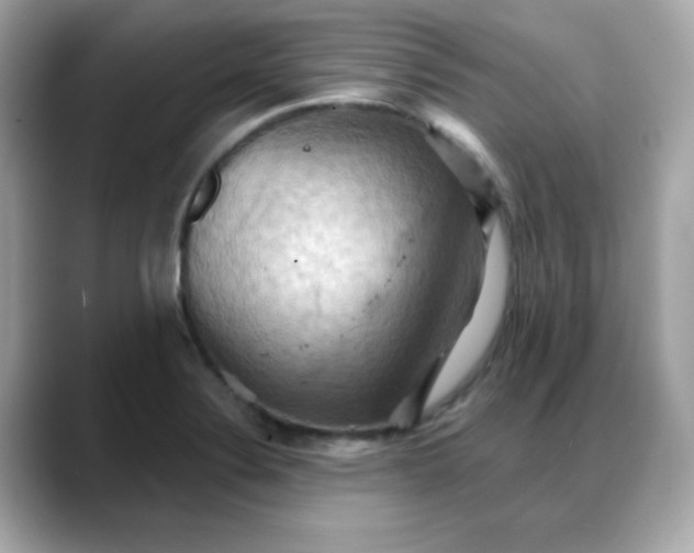 X0000088381324200706051052