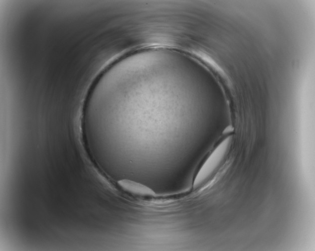 X0000088381325200706051052