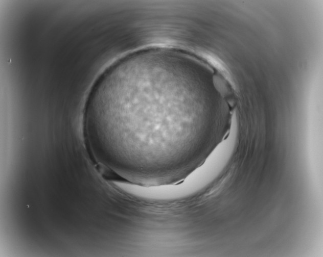 X0000088381326200706051052