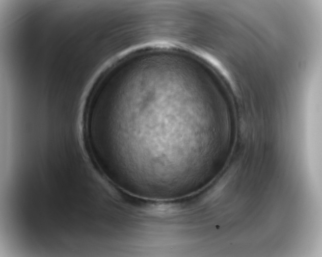 X0000088381327200706051052