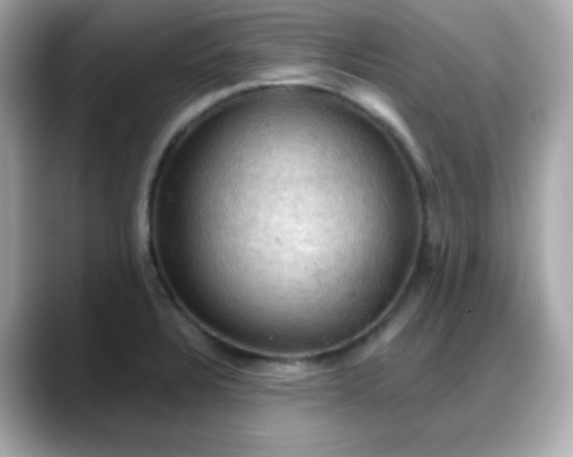 X0000088381328200706051052
