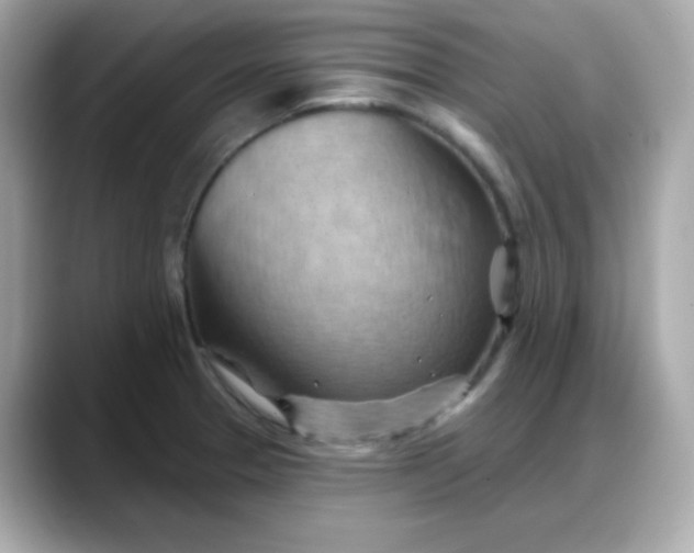 X0000088381329200706051052
