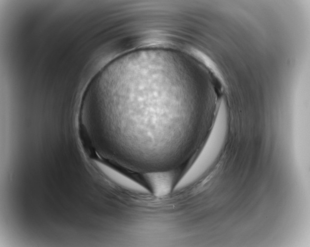 X0000088381330200706051052