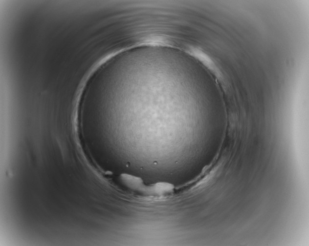 X0000088381331200706051052