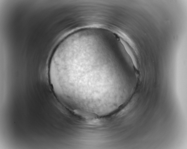 X0000088381332200706051052