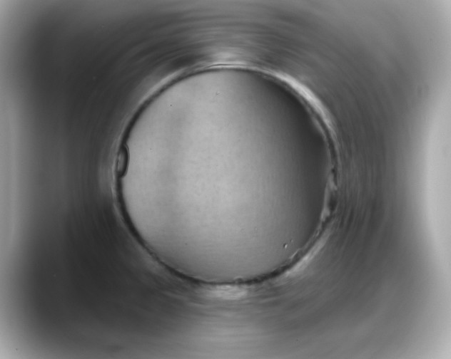 X0000088381333200706051052