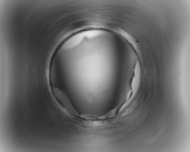 X0000088381334200706051052