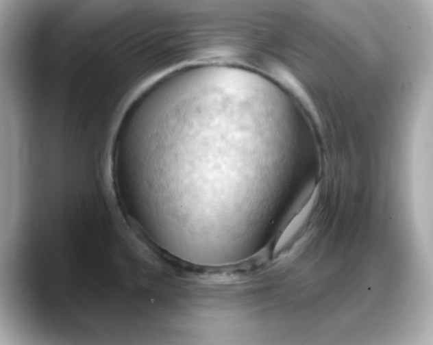 X0000088381336200706051052