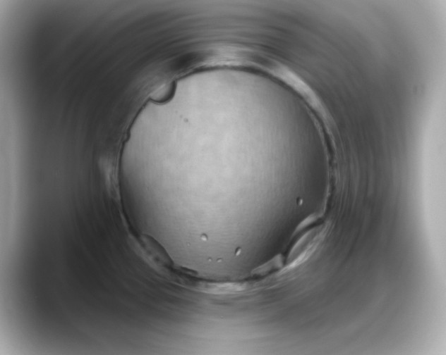 X0000088381337200706051052