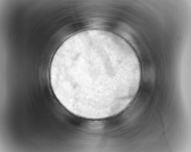 X0000088381338200706051053
