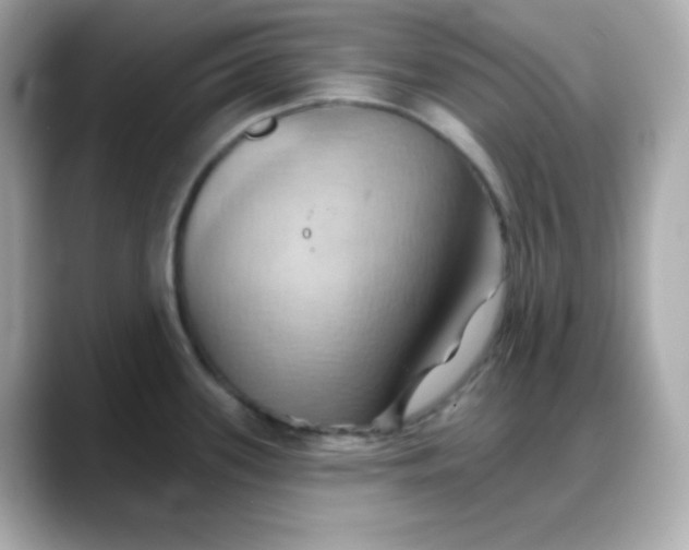 X0000088381339200706051053