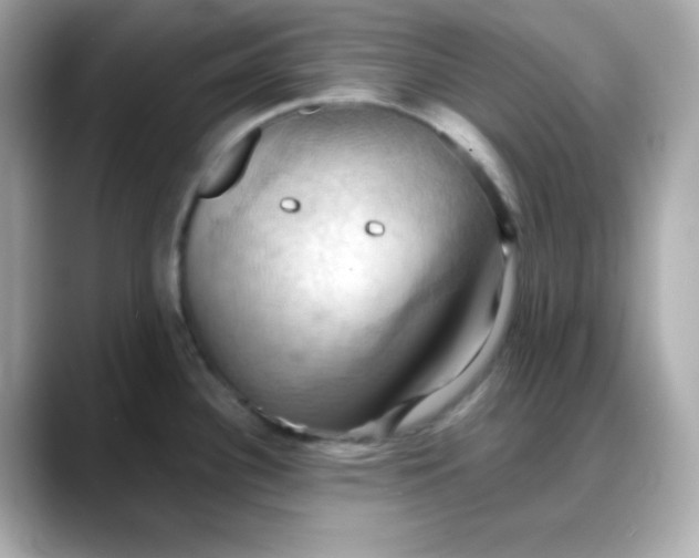 X0000088381340200706051053