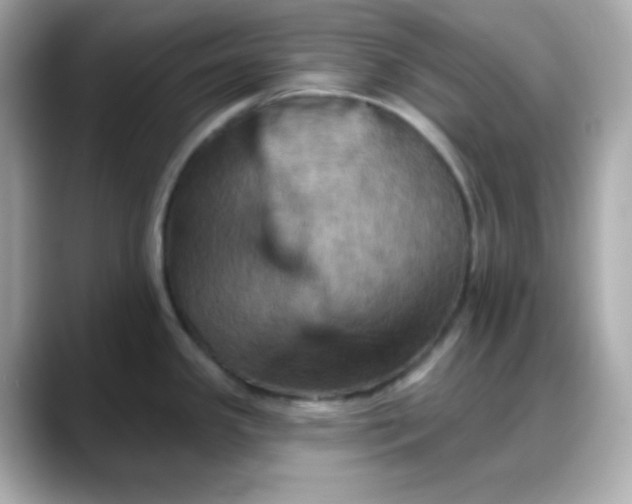 X0000088381341200706051053