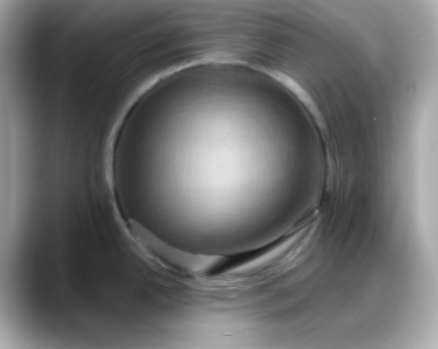 X0000088381342200706051053