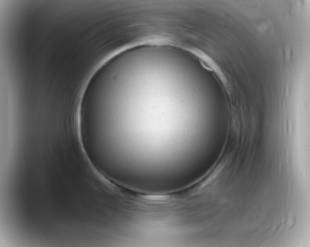 X0000088381343200706051053