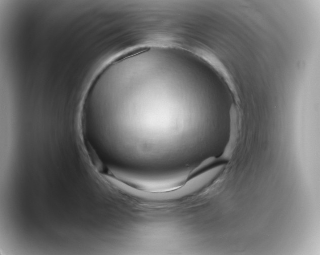 X0000088381344200706051053