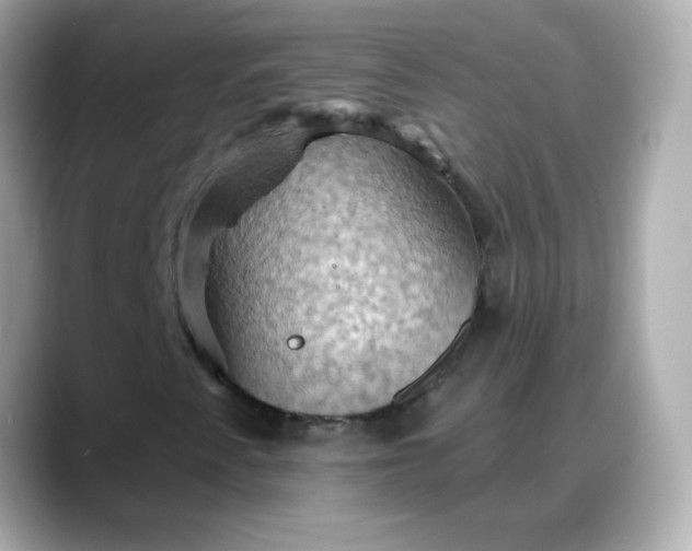 X0000088381345200706051052