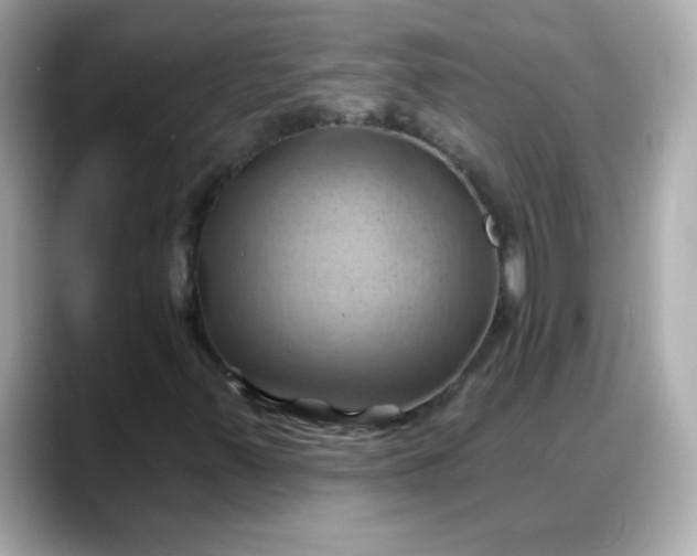 X0000088381347200706051052