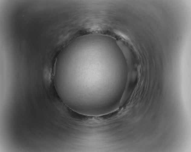 X0000088381348200706051052