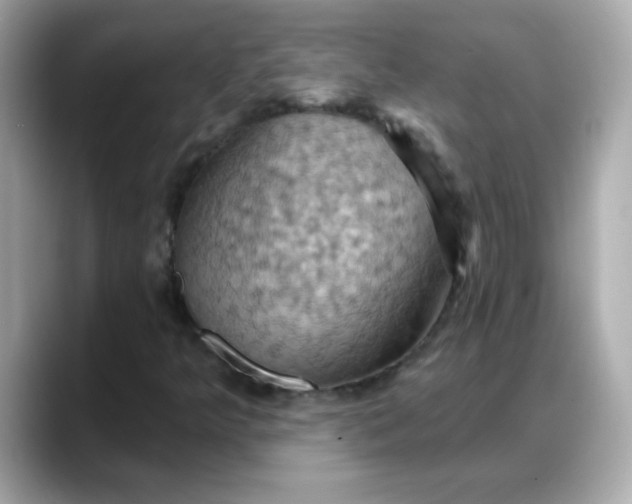 X0000088381349200706051052